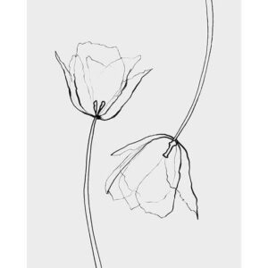 Line Tulips Print